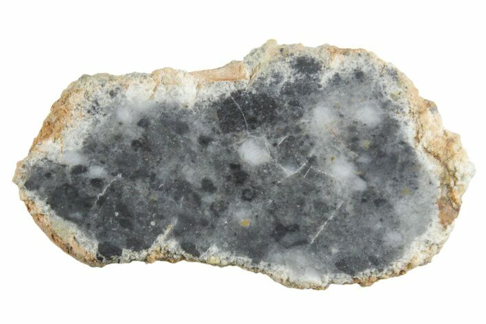 Lunar Meteorite ( g) Slice - Bechar #348176